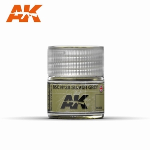AK Real Colors BSC Nº28 Silver Grey