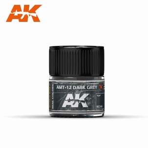 AK Real Colors AMT-12 Dark Grey