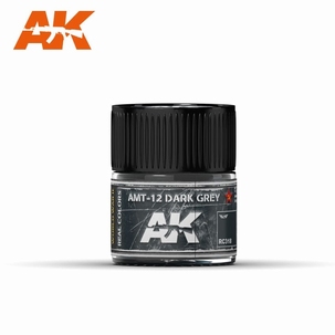 AK Real Colors AMT-12 Dark Grey