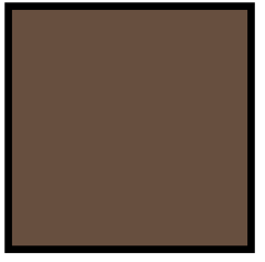 Ak Real Colors RC874 S.C.C. No.2 Brown