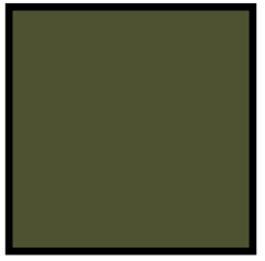 Ak Real Colors RC876 Russian Green Protective 4BO