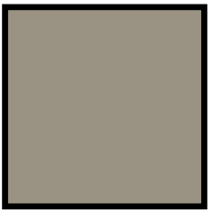 Ak Real Colors RC882 IDF Modern Grey