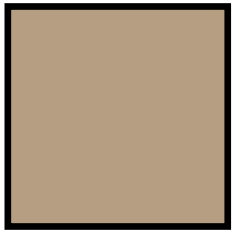Ak Real Colors RC885 CARC Tan 686A FS 33446