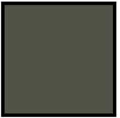 Ak Real Colors RC886 NATO Green
