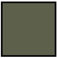 Ak Real Colors RC904 Field Green FS 34097