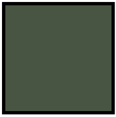 Ak Real Colors RC927 Medium Green 42