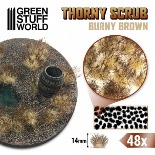 GSW Thorny Spiky Skrub Burney Brown
