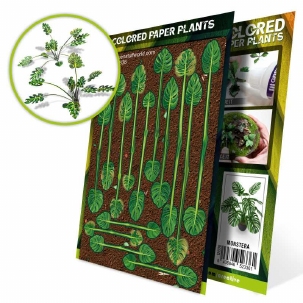 GSW Laser Cut Plants Montsera